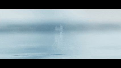 1737724261402574 5.gif