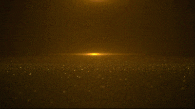 1737724460888389 12.gif