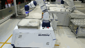 jinnianhui金年会HSCR5轻载复合机械人